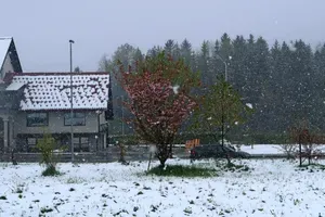 Sneg na Idrijskem ima mlade