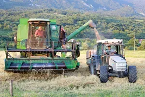 Slovensko kmetijstvo: strah pred ponovitvijo lanske sezone