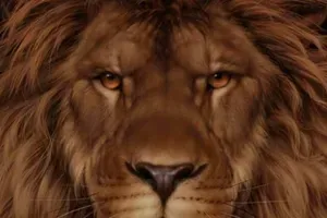 Každý vidí lva, ale pouze ti s vysokým IQ dokážou za 9 sekund spatřit jiné zvíře
