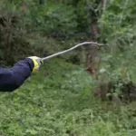 Koruptivnega mariborskega Medveda je odnesel zanj usodni članek na Požareportu