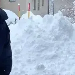 Ni mu hudega in hvala za Natašo