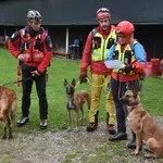 Mednarodna vaja vodnikov reševalnih psov #foto