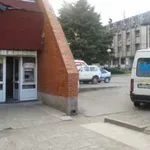 Ukrao sanitetsko vozilo i njime sleteo s puta