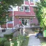 VOM SAZNAJE: Potvrđen prvi slučaj gripa u Pčinjskom okrugu