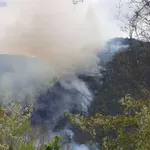 VATROGASCI OVOGA PUTA BRŽI OD VATRE: Požar u Trebešinju ugašen