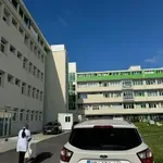 NOVAK ĐOKOVIĆ NIŽE USPEHE, A NJEGOVO IME U VRANJU OD 2016. GODINE NOSI 60 DEČAKA