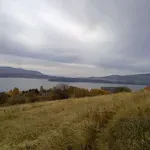 Prevoznici migranata provaljeni, pa pobegli na Vlasinu