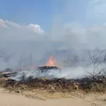 PALJENJE NISKOG RASTINJA NOSI VISOKI RIZIK: Požar koji je buknuo na Romskom groblju stavljen pod kontrolom