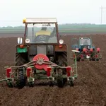 Pretposlednja generacija poljoprivrednika: Srbija srlja u prehrambenu nesigurnost