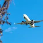 Srbin zamalo ispao iz aviona – u pokretu, Rajaner potvrdio incident