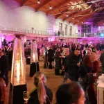 „Vinski park“ ugrožava mozaike antičkog Sirmijuma