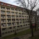 Studentkinja pala s terase Studenjaka