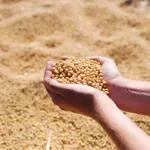 Još dve namirnice iz Srbije nebezbedne u Evropi