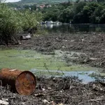 Poražavajuće stanje životne sredine u Srbiji: „Sistemska greška“