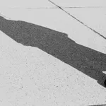 Pooštravanje kaznene politike: Robija zbog lažnih diploma