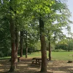 Ko seče šumu Stepinog luga da bi zidao tri kuće