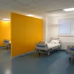 Može li se u Srbiji dostojanstveno umreti