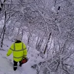 Snežni talas u Srbiji: Vanredno u devet opština