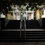 EU kritikuje, Vučić ne mari