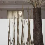 Izložba „Od zemlje ka nebu“, neobuzdano prorastanje