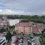 Grad veličine graška zasuo Kragujevac