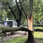 Koje su posledice nevremena koje je pogodilo Srbiju