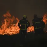 Srbiji prete sve opasniji šumski požari: Koji su delovi zemlje najugroženiji