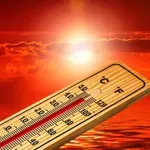 Fizički fakultet: Toplotni talas u Srbiji 55 puta verovatniji nego sredinom 20. veka