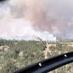 Sanacija Deliblatske peščare ne sme da bude stihijska
