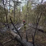 Režim tvrdi da požar ne može da bude prečica do građevinskog zemljišta