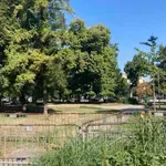 Lakše je pobediti Vučića na izborima nego osloboditi Pionirski park