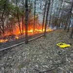 Veliki požar besni iznad Bujanovca: Gori 3.500 hektara šume