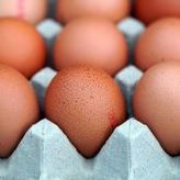Vlada Severne Makedonije zamrzla cene i ograničila izvoz jaja