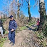 FOTO, VIDEO: Aktivisti na Šodrošu telima brane stabla, kažu da zavise od dobre volje tužilaca