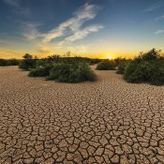 UN: Nestašice vode mogle bi da dovedu do svetske krize