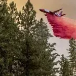 Nekoliko hiljada ljudi evakuisano u Kaliforniji: Šumski požar se i dalje širi