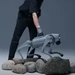 VIDEO: Pas robot švedske AI kompanije uči i prilagođava se slično ljudima