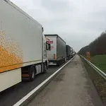 Transportna zajednica: Bilateralni dogovori mogu rešiti problem boravka vozača kamionu u EU