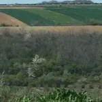 U toku konkurs za raspodelu sredstava za zaštitu poljoprivrednog zemljišta
