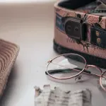 10 интересни факта за 10 български писатели
