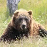 10 изречения = история: Научна суматоха в Райската градина (микроразказ)