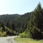 Χαλκιδική: Νέα απαγόρευση κυκλοφορίας σε 4 Δήμους