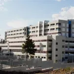 Κρούσματα σαλμονέλας στη Λαμία: Βρέθηκε ο προμηθευτής των κοτόπουλων – Τι δήλωσε ο αντιπεριφερειάρχης