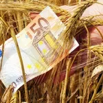 Αγροτικές επιδοτήσεις: Στο μικροσκόπιο της Κομισιόν τα βιολογικά