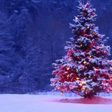 Δ. Νίκαιας-Αγ.Ι. Ρέντη: «Χριστούγεννα με την πόλη μας» σε μια κόκκινη κλωστή δεμένη…