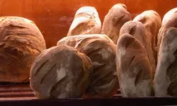 Καρδιολόγος αποκαλύπτει ποιο είναι το καλύτερο ψωμί