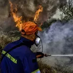Φωτιά τώρα στη Φωκίδα