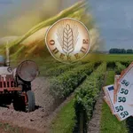 ΟΠΕΚΕΠΕ: Νέο φιάσκο με τις πληρωμές των αγροτών -Ο ΕΛΓΑ «άδειασε» τους λογαριασμούς τους