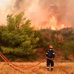 Μεγάλη φωτιά στην Πελασγία Φθιώτιδας – Ισχυρές δυνάμεις στο σημείο