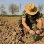 Αναδρομικά από 15/3 η επιδότηση 15% στα λιπάσματα